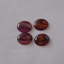 4 Stück Abalone Shell