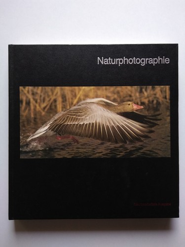 Naturphotographie von time - naturphotographie,