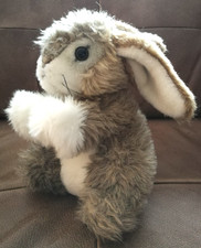 Alter "Hase" sitzend gesamt