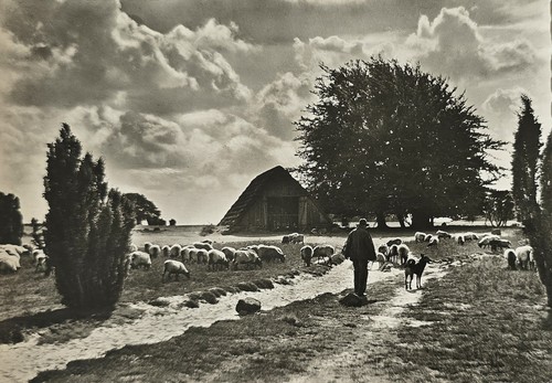 Wilsede schafstall 1960er - wilsede,