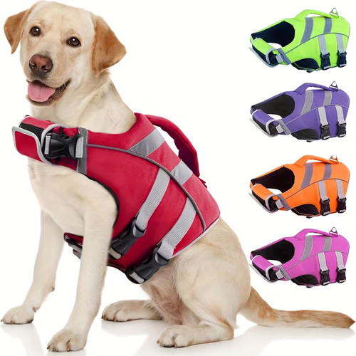Hund schwimmweste - hund,