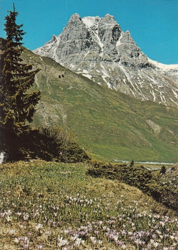 Postkarte widderstein - postkarte, (31)