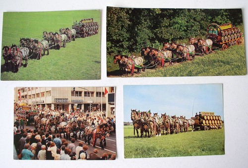 Pferde kutsche brauerei - ,