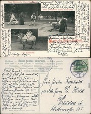 Ansichtskarte  Gruss aus dem