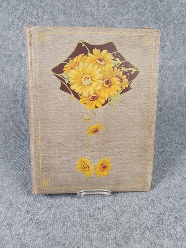 Antikes fotoalbum jugendstil - antikes,