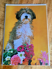 Schmuckkarte Schmuckblatt