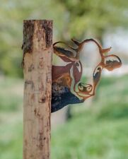 Edelrost Kuhkopf für Holz -