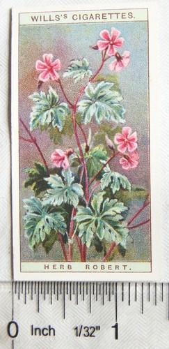 Testamente 1923 wildblumen - testamente, 1923,