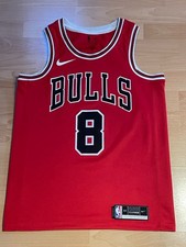 Chicago Bulls Zach Lawine NBA Basketball Nike Swingman Trikot M 44