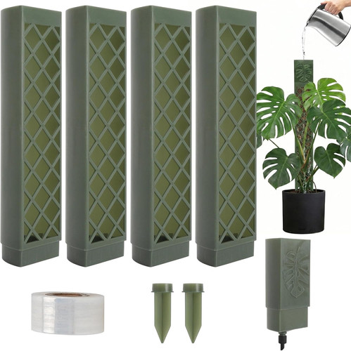 Monstera rankhilfe - monstera,