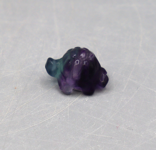 Fluorit schildkröte schildi - schildkröte,