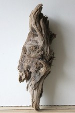 Treibholz Schwemmholz