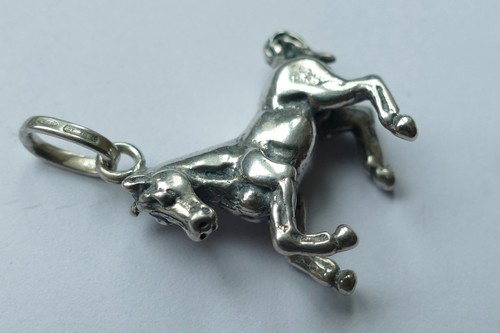 Anhänger 925 silber - anhänger,