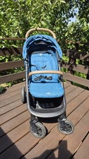 Der Buggy & Sportwagen Joie