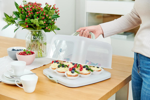 Emsa kuchenbox rechteckig - kuchenbox,