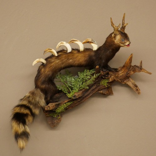 Iltis wolpertinger wolpi - wolpertinger,