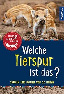 Welche tierspur ist das - welche,
