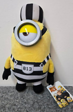 Minion Gefängnis einfach