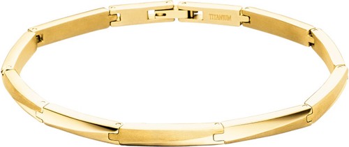 Boccia titanium armband - boccia,