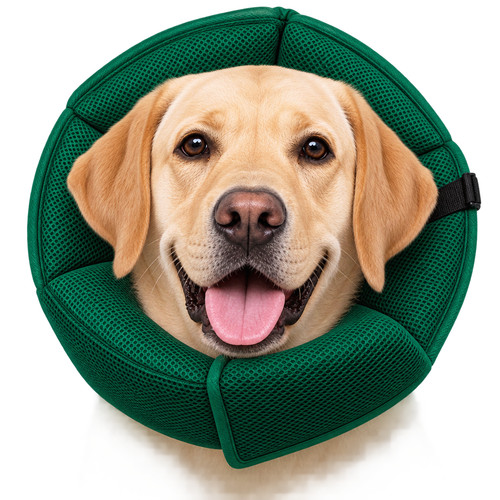 Hunde schutzkragen halskragen - hunde,