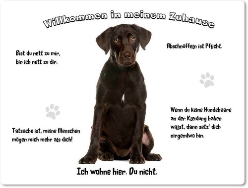 Warnschild 20x30cm - 20x30cm,