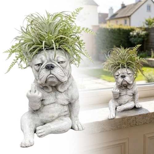 Französische bulldogge - französische,