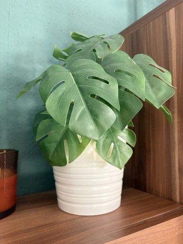 Künstliche monstera ohne - monstera, (ohne