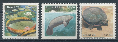 753398 brasilien - 753398),