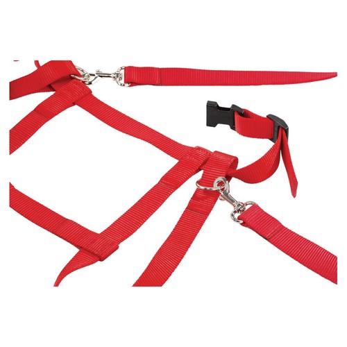 Kinder laufleine nylon rot - laufleine,