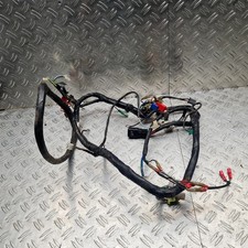 Kabelbaum elektronik pegasus - kabelbaum,