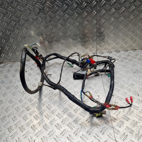 Kabelbaum elektronik pegasus - kabelbaum,