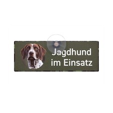 Deutsch Kurzhaar Braunschimmel