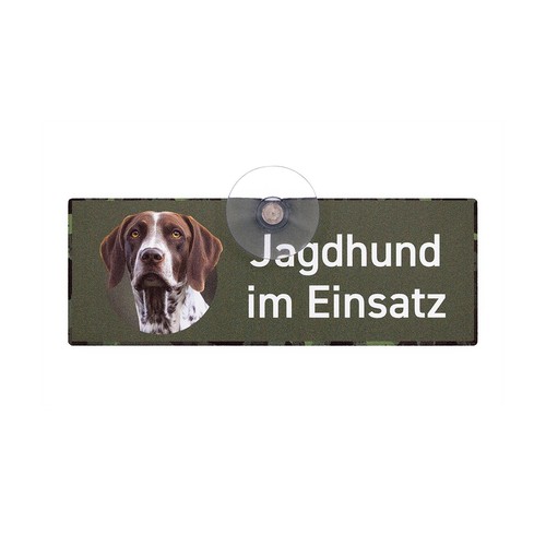 Deutsch kurzhaar braunschimmel - deutsch,