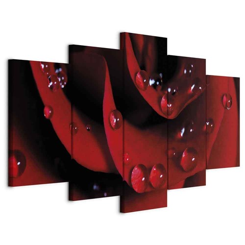 Wandbild tlg groß - wandbild, 5