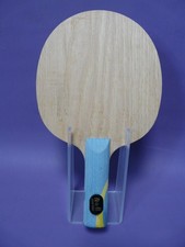 Eigenbau mit Carbon + DHS