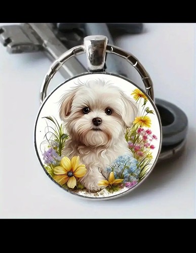 Hund hunde - hund, hunde-