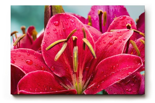 Sinus art wandbild - art,