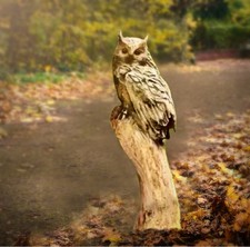 Eule Aus Holz Garten Haus Deko