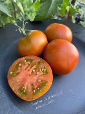 Tomate • Thornburn’s Terracotta • Tomatensamen • 10+ Samen 