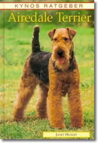 Airedale terrier - airedale,