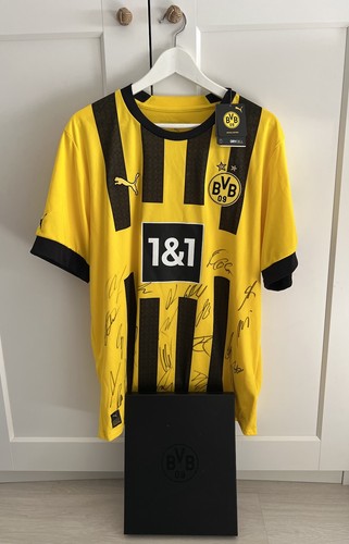 Signiertes bvb trikot - trikot, 22/23