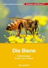 Die Biene - Kopiervorlagen