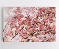 Blume Wandbilder Kirschblüten Natur Leinwand Bild Leinwandbild Vlies Deko XXL