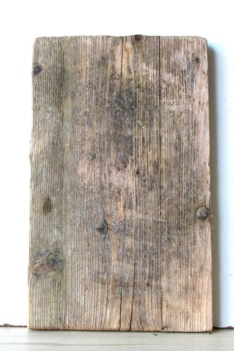 Treibholz schwemmholz - treibholz,
