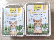 Leckeres Katzengras 2 Stück