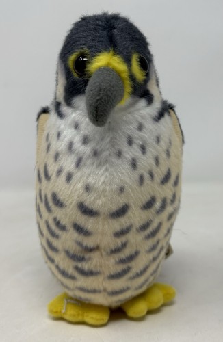 International vogel - international,