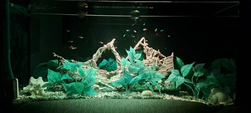 Aquarium 120 mit schrank - mit,