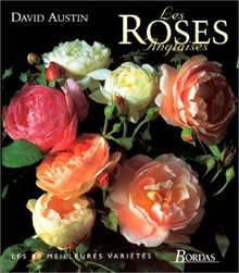 Les roses anglaises von david - roses,
