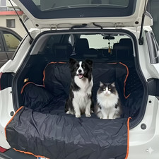 Hundematte Auto