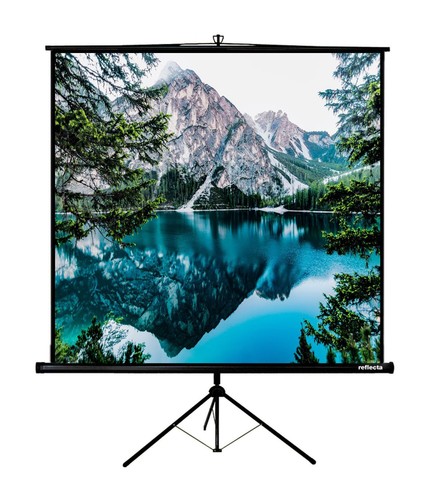 Reflecta crystalline - 1:1,